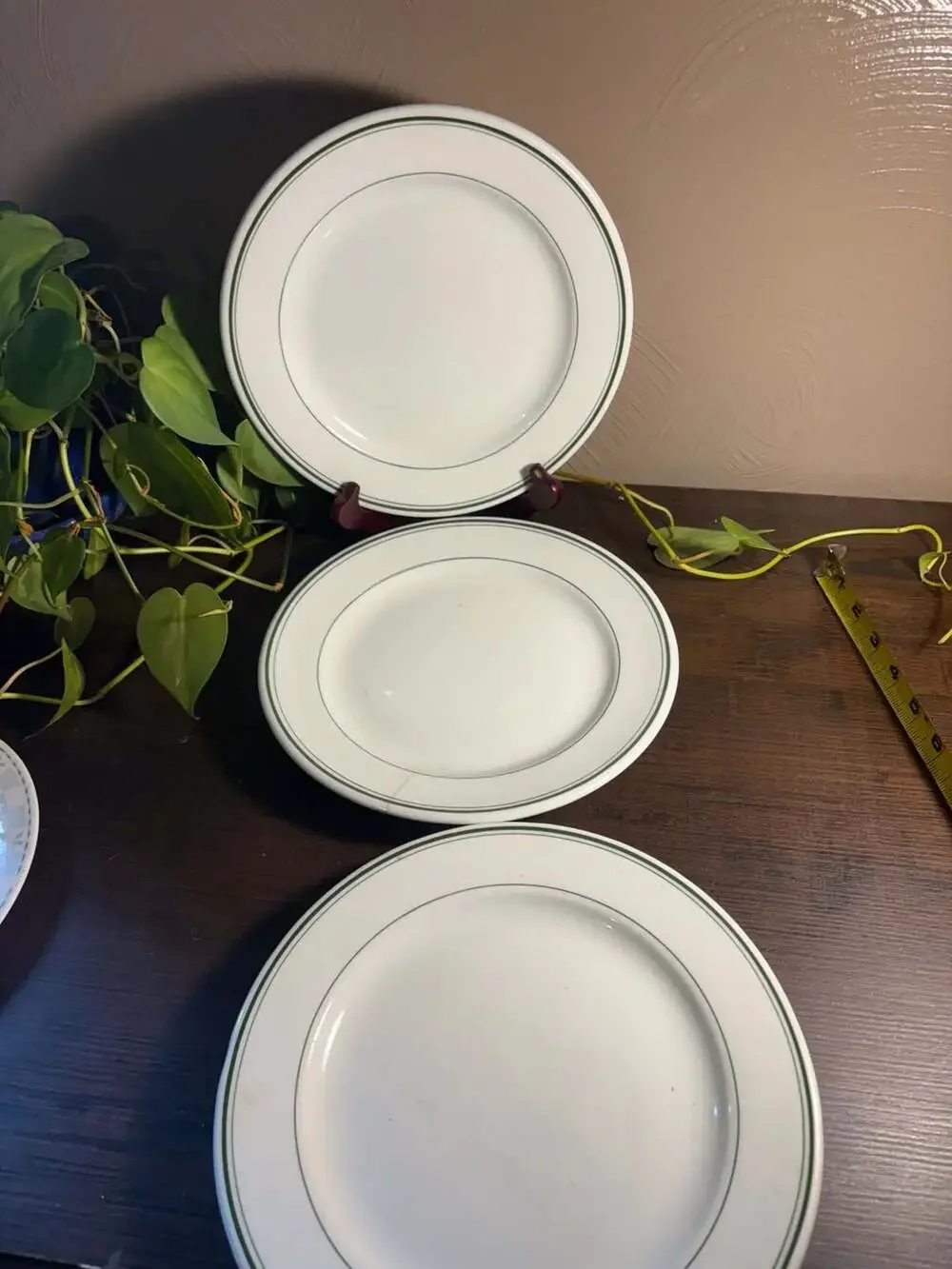 Jackson Vitrified China Restaurant Ware Plates with Green Band Trim
